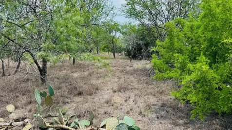 Tbd Lot 2 5.35 Ac Ridgeway Lane Beeville TX 78102