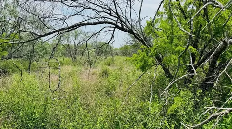 Tbd Lot 2 5.35 Ac Ridgeway Lane Beeville TX 78102