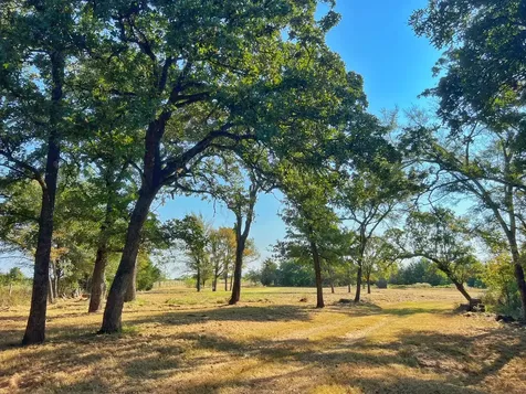 5403 Dry Creek Calvert TX 77837
