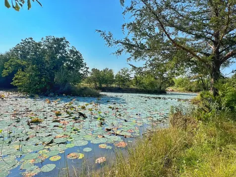 5403 Dry Creek Calvert TX 77837
