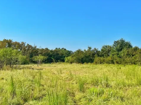 5403 Dry Creek Calvert TX 77837