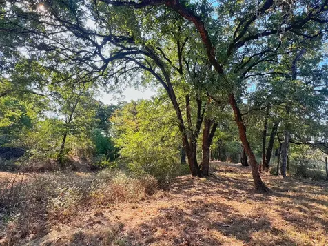 5403 Dry Creek Calvert TX 77837
