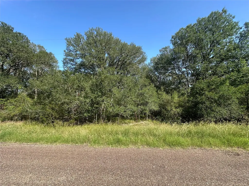 344 And 362 Indian Ridge Drive Somerville TX 77879