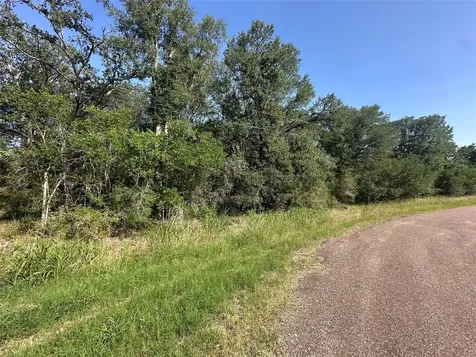 344 And 362 Indian Ridge Drive Somerville TX 77879