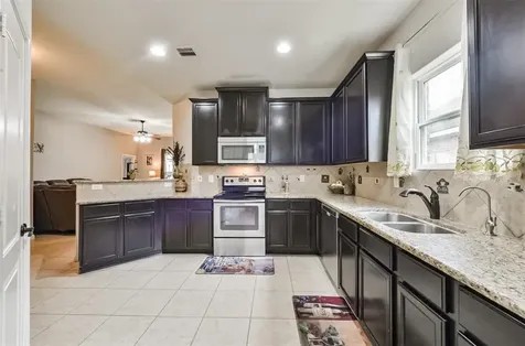 20414 Penny Blume Drive Hockley TX 77447