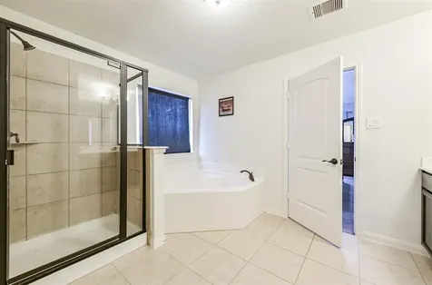 20414 Penny Blume Drive Hockley TX 77447