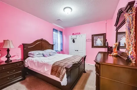 20414 Penny Blume Drive Hockley TX 77447