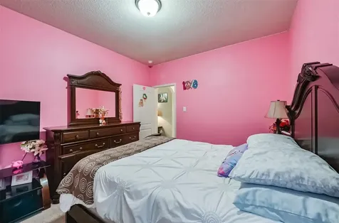 20414 Penny Blume Drive Hockley TX 77447