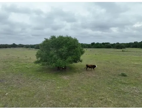 Lot 4 Tbd 4 County Road 127 Road Ledbetter TX 78946