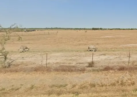 37070 Bell Road Hempstead TX 77445