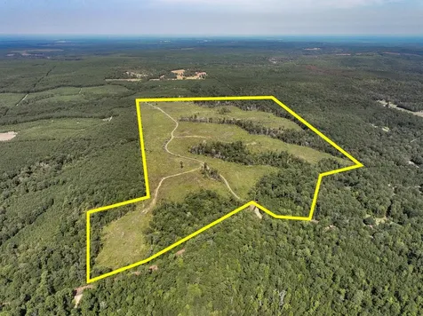 1 County Road 3725 Colmesneil TX 75938