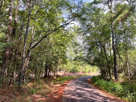 1 County Road 3725 Colmesneil TX 75938