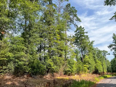 1 County Road 3725 Colmesneil TX 75938