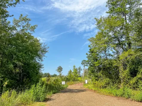 1 County Road 3725 Colmesneil TX 75938