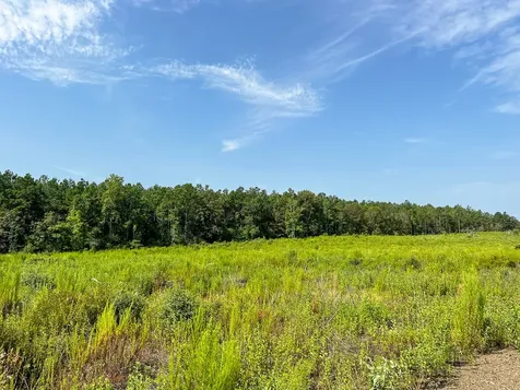 1 County Road 3725 Colmesneil TX 75938