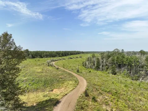 1 County Road 3725 Colmesneil TX 75938