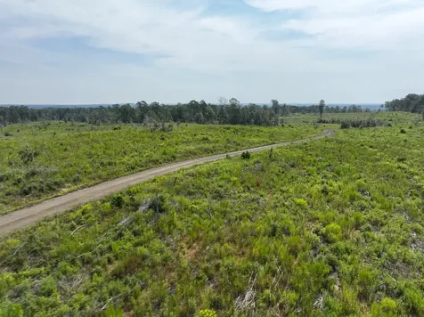 1 County Road 3725 Colmesneil TX 75938