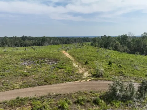 1 County Road 3725 Colmesneil TX 75938