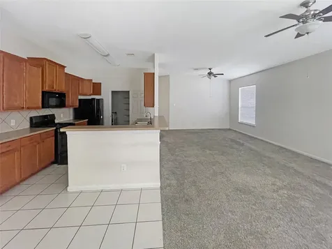 21314 Bella Flora Court Spring TX 77379