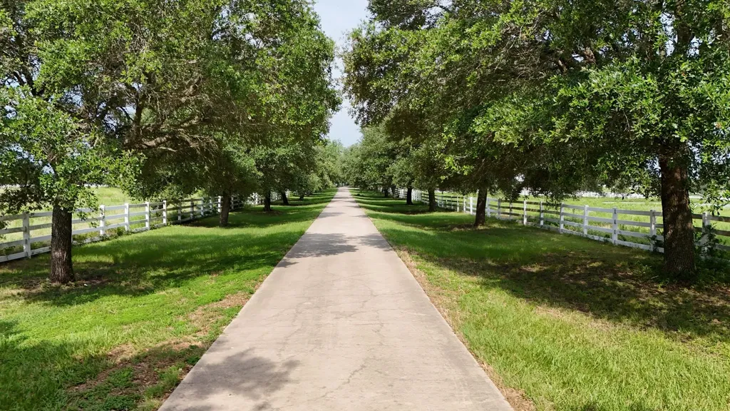 12379 Fm 149 Road Montgomery TX 77316