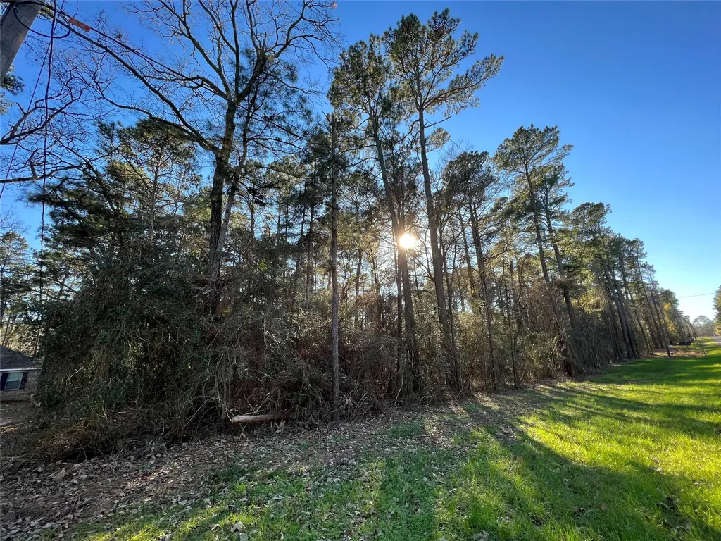 290 Greenbriar Drive Magnolia TX 77355
