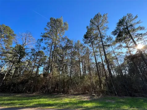 290 Greenbriar Drive Magnolia TX 77355