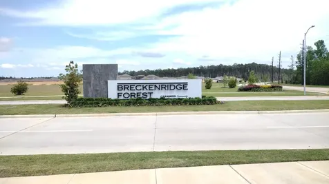 24315 Saddlestone Green Drive Spring TX 77373