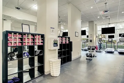 3333 Allen Parkway 1905 Houston TX 77019