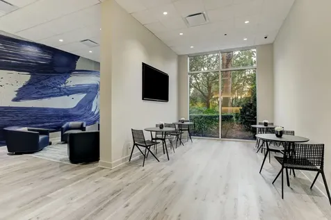 3333 Allen Parkway 1905 Houston TX 77019