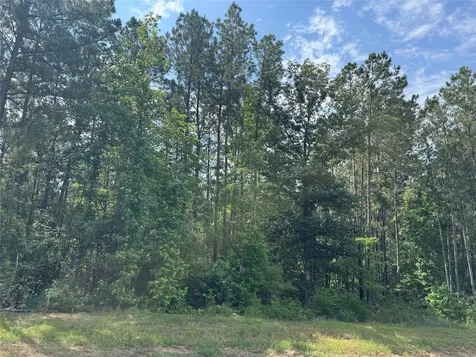 15810 Ridge Rock Road Willis TX 77378