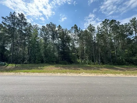 15810 Ridge Rock Road Willis TX 77378