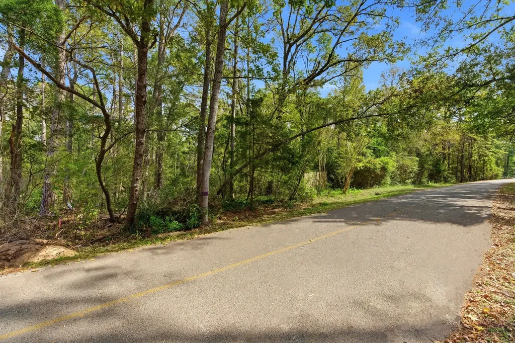 11091 Newton Circle Conroe TX 77303