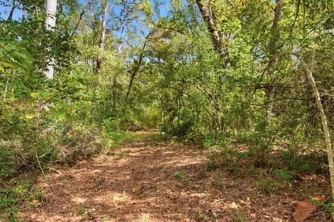 11091 Newton Circle Conroe TX 77303