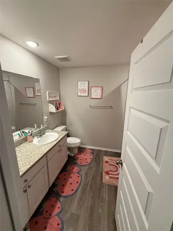 5805 Violet Berry Drive Montgomery TX 77316