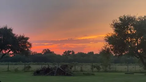 3410 County Road 159 Alvin TX 77511