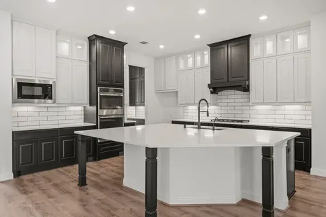 18935 Wild Thornberry Drive Tomball TX 77377