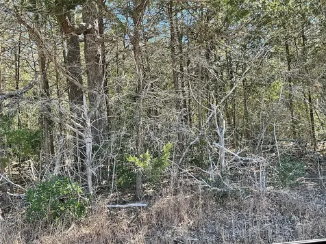 Tbd County Road 212 Hallettsville TX 77964