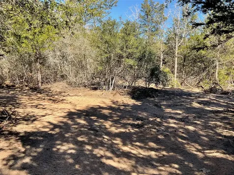 Tbd County Road 212 Hallettsville TX 77964