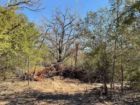 Tbd County Road 212 Hallettsville TX 77964