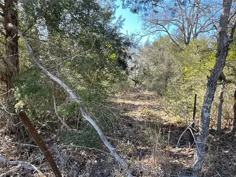 Tbd County Road 212 Hallettsville TX 77964