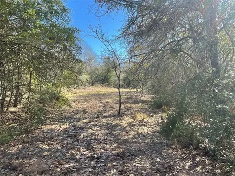 Tbd County Road 212 Hallettsville TX 77964