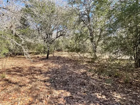 Tbd County Road 212 Hallettsville TX 77964