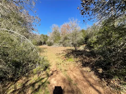 Tbd County Road 212 Hallettsville TX 77964