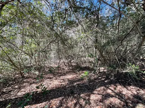 Tbd County Road 212 Hallettsville TX 77964