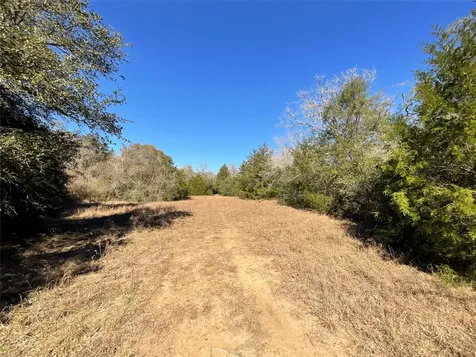 Tbd County Road 212 Hallettsville TX 77964