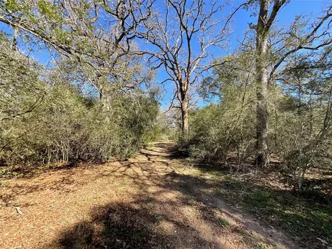 Tbd County Road 212 Hallettsville TX 77964