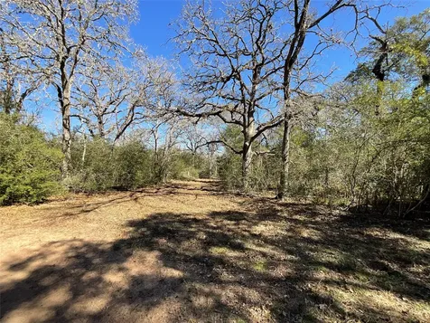 Tbd County Road 212 Hallettsville TX 77964