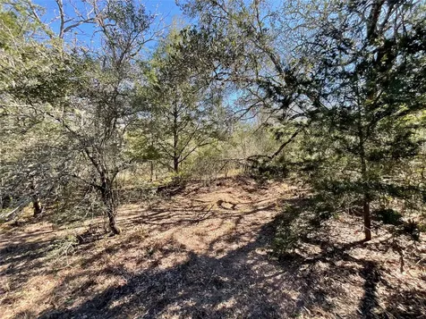 Tbd County Road 212 Hallettsville TX 77964