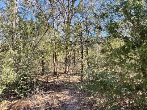 Tbd County Road 212 Hallettsville TX 77964