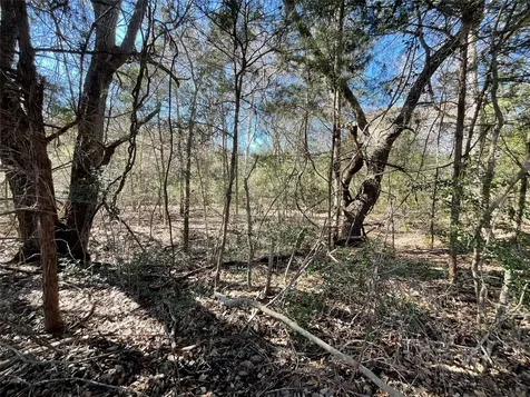 Tbd County Road 212 Hallettsville TX 77964